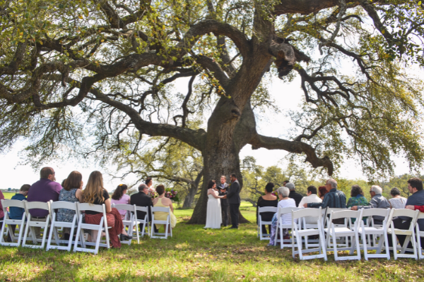 Couple being married under an oak tree with Everlasting Elopement's Small Ceremony package